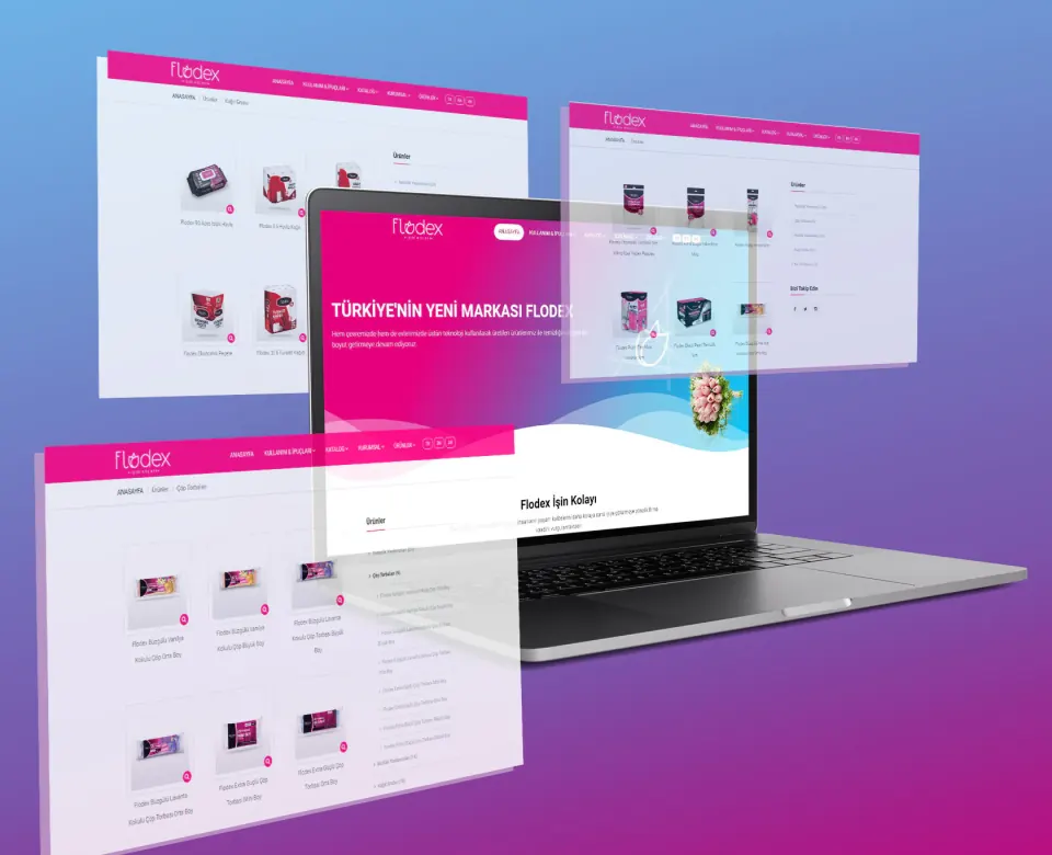 FLODEX web sitesi çalışması