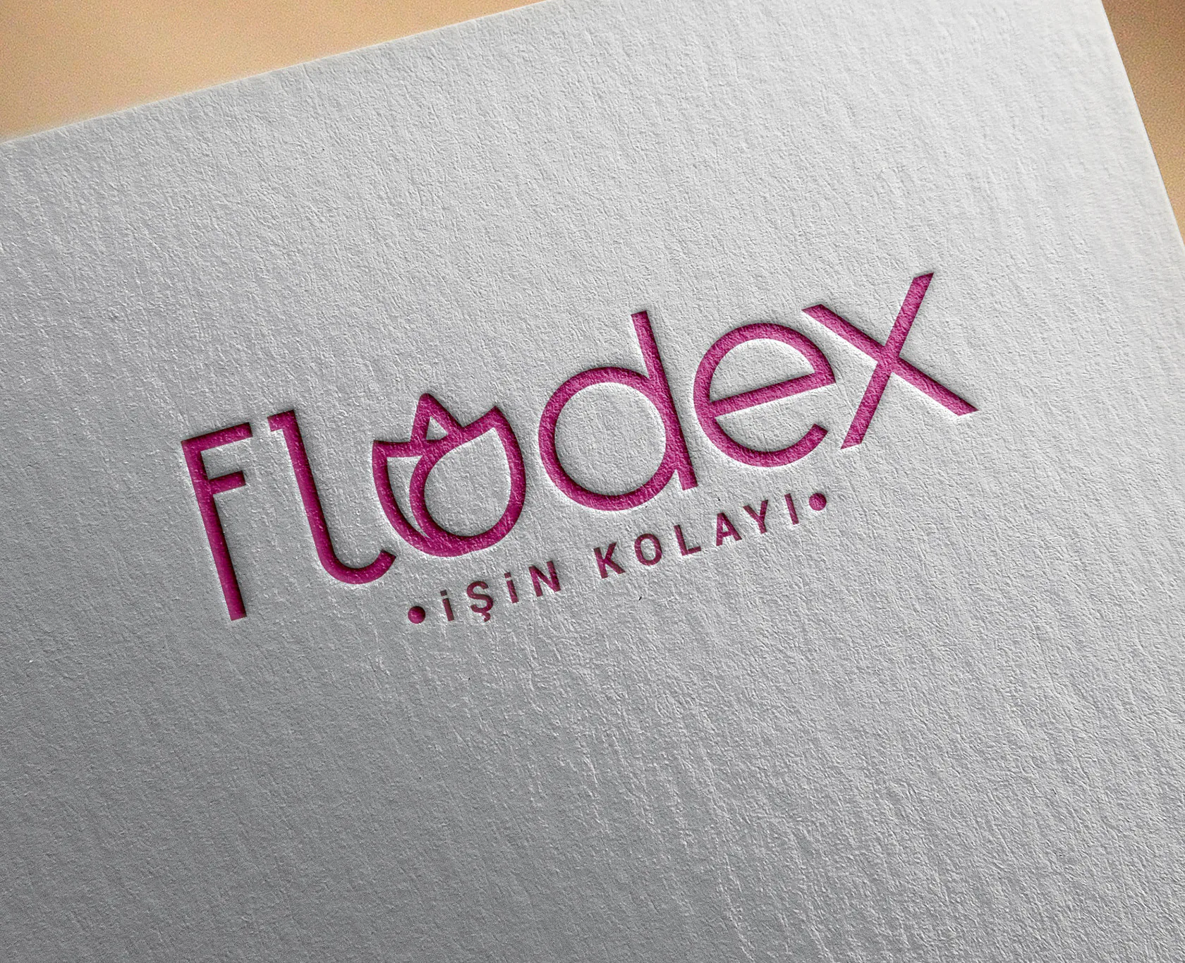 FLODEX projesi kapak görseli