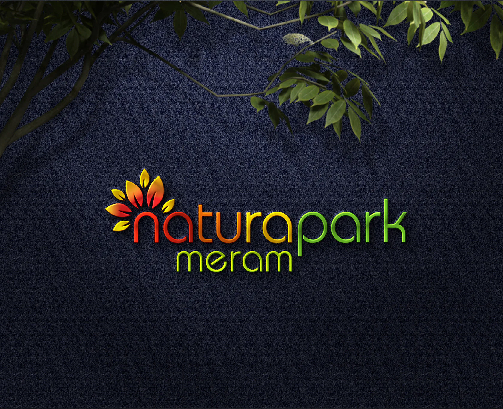 NATURA MERKEZ proje uygulaması 1