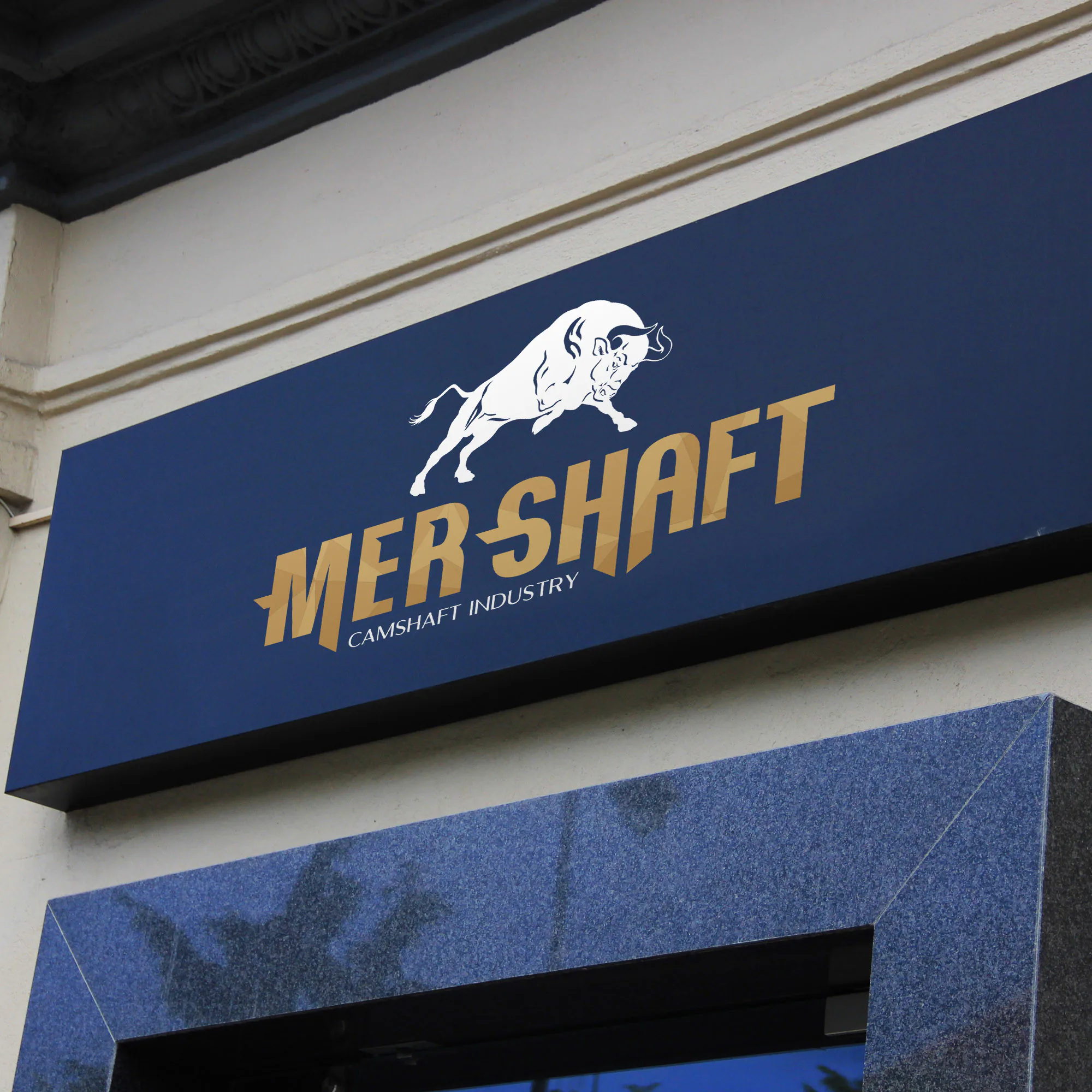 MER SHAFT proje uygulaması 2