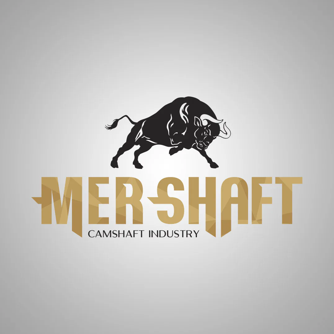 MER SHAFT proje uygulaması 1
