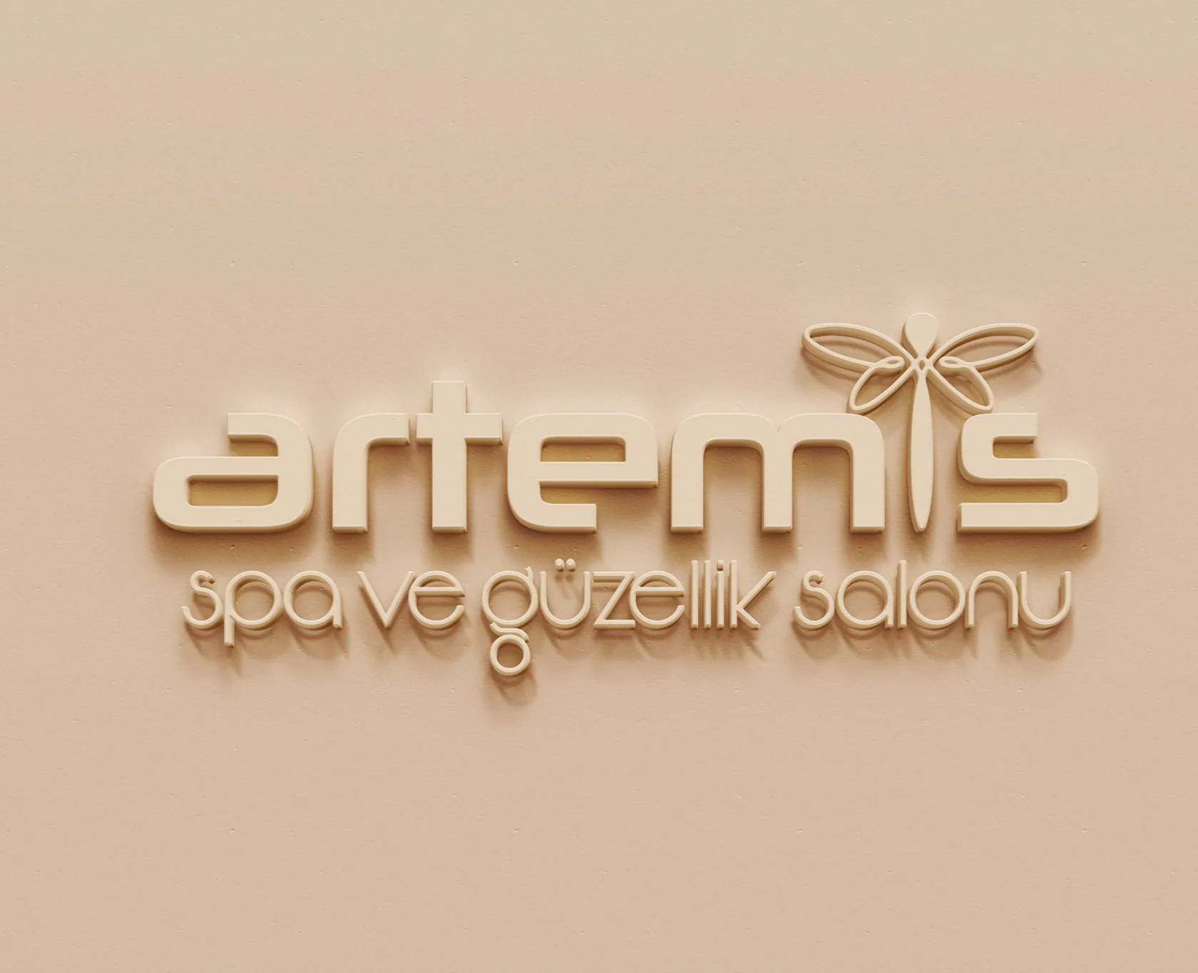 ARTEMİS proje uygulaması 3