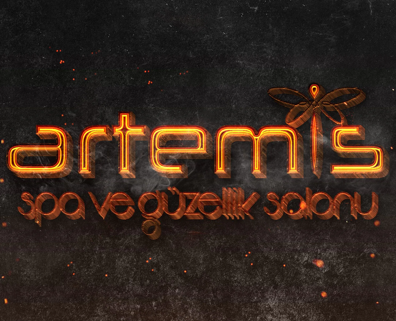 ARTEMİS proje uygulaması 2