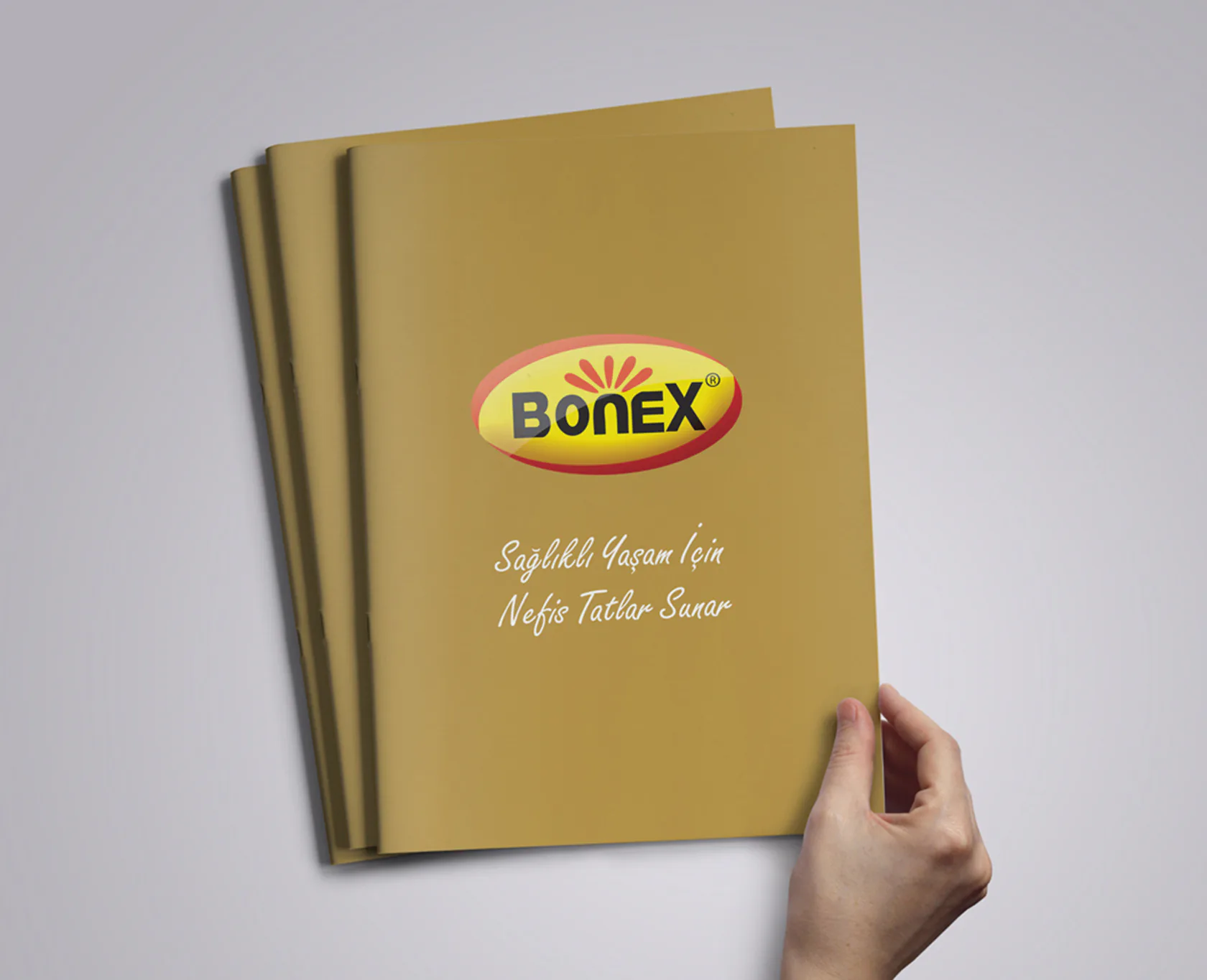 BONEX projesi kapak görseli