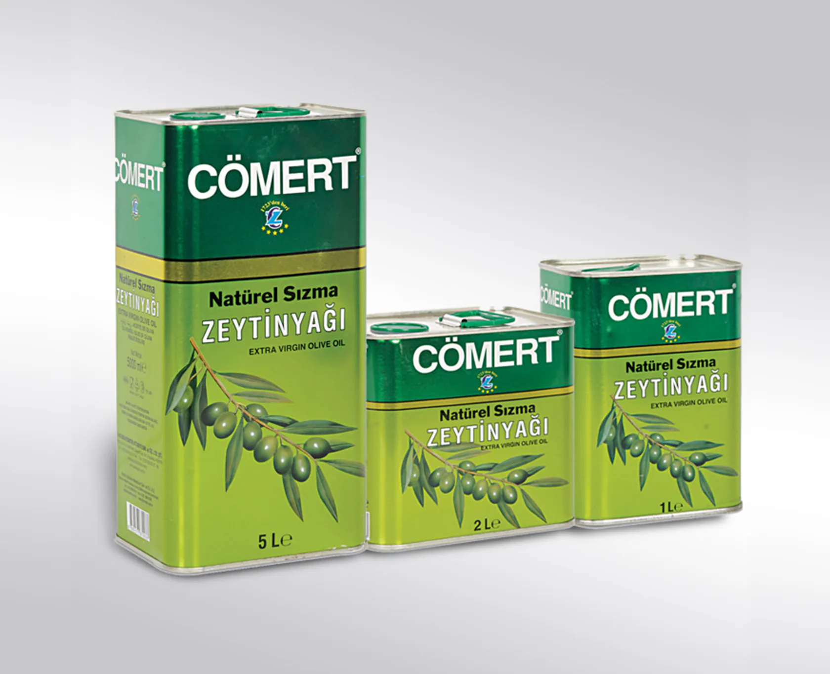 CÖMERT proje uygulaması 7
