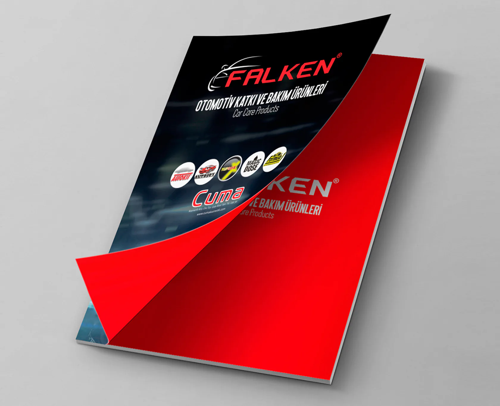 FALKEN 2021 projesi kapak görseli