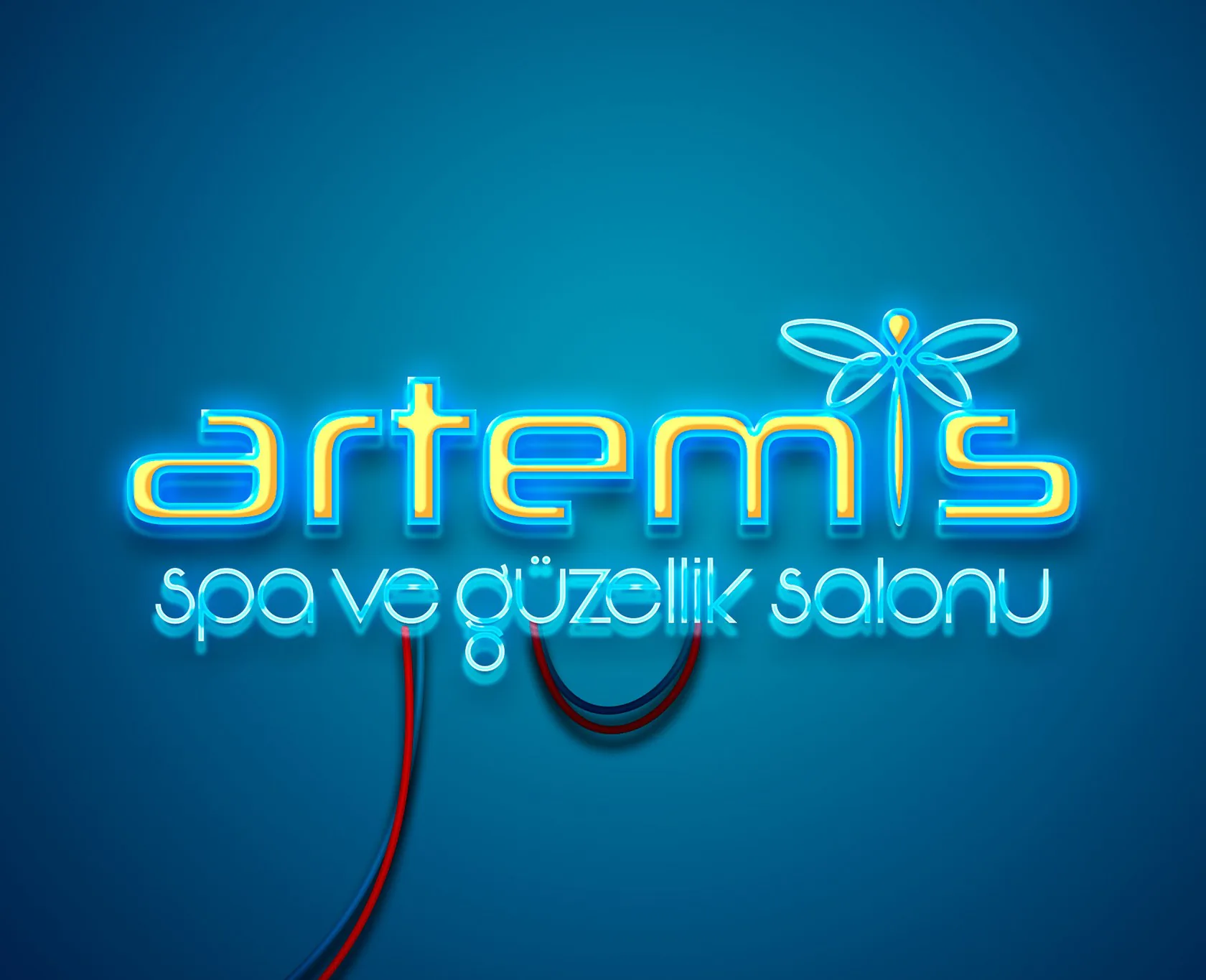 ARTEMİS projesi kapak görseli